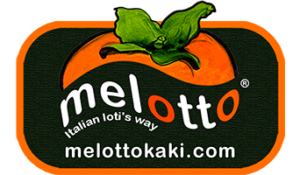 logo-melotto-top