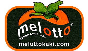 Melotto