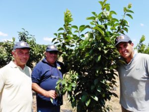 azienda-agricola-nigro-ginosa